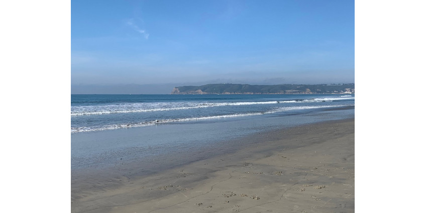 2 пляжа округа Сан-Диего названы "лучшими из лучших" в США по версии Tripadvisor