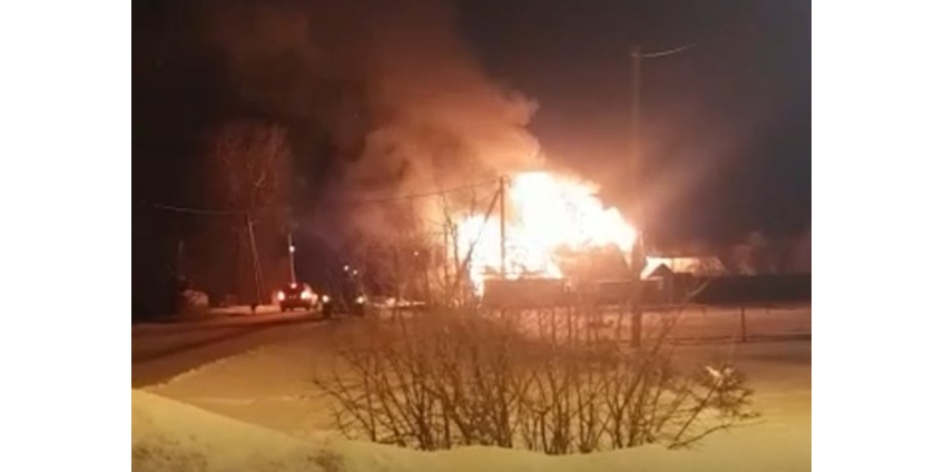 При пожаре в российском приюте массово погибли животные