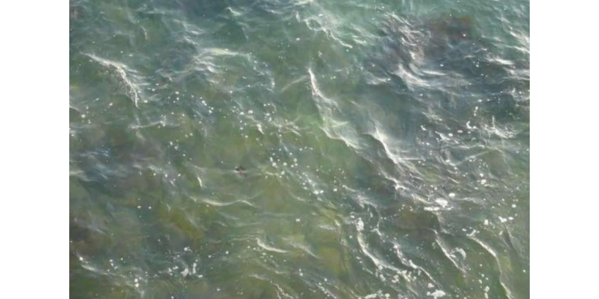 8 погибших после того, как 2 рыбацкие лодки перевернулись возле Сан-Диего