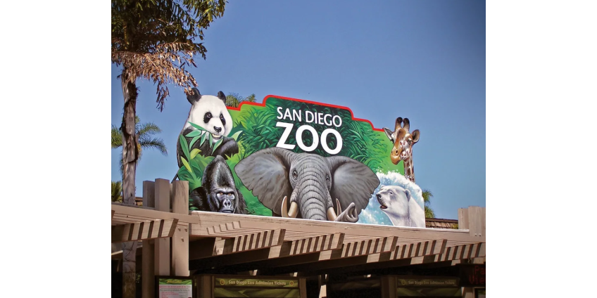 В зоопарке Сан-Диего умерла местная любимица – слониха Мэри