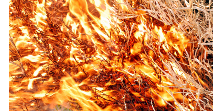 В Саммерлине вспыхнул пожар из-за незаконных фейерверков