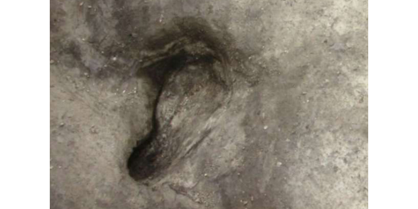 В Германии обнаружили самые ранние человеческие следы