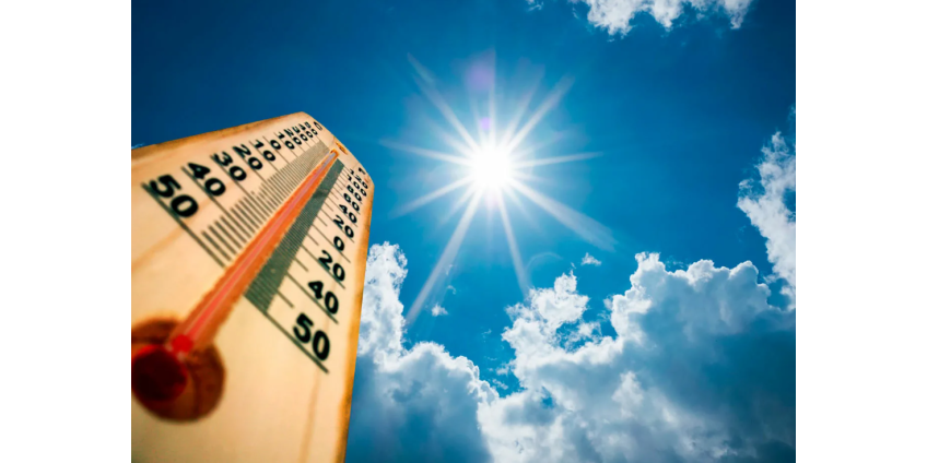 В этом году в районе Финикса зарегистрировано 4 смерти, связанных с жарой