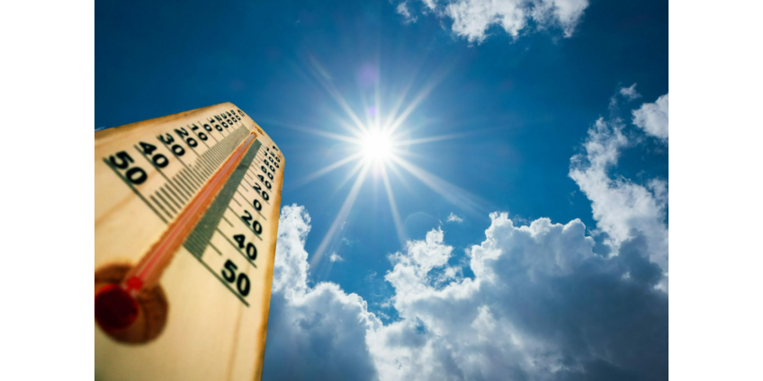 Власти Аризоны предлагают квалифицировать экстремальную жару как стихийное бедствие