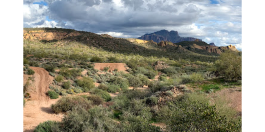 В кострище в отдаленном пустынном районе Tonto National Forest было найдено тело