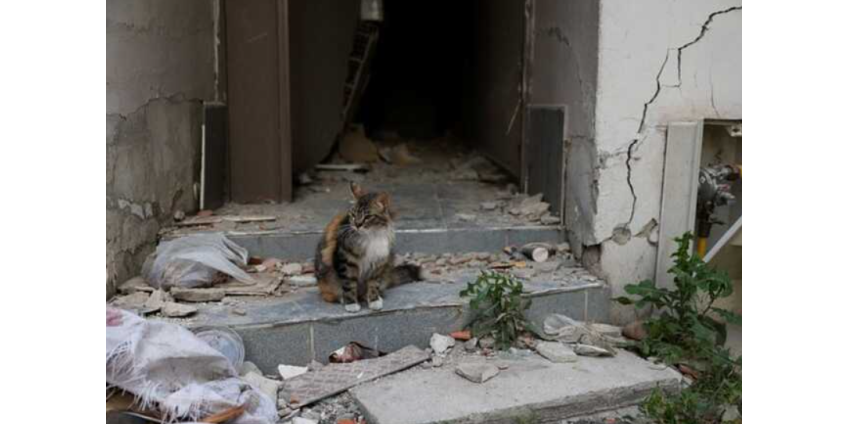 В Турции произошло землетрясение