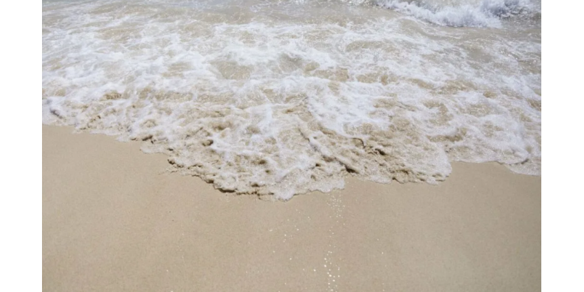 Для 9 пляжей Лос-Анджелеса были вынесены предупреждения из-за высокого уровня бактерий