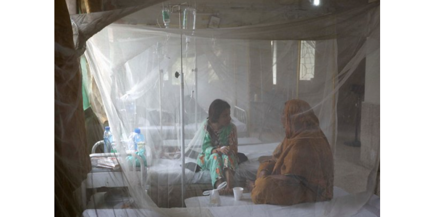 В Индии сообщили о резкой вспышке лихорадки денге