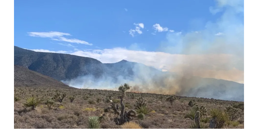 Лесной пожар площадью 15 акров зарегистрирован к северо-западу от долины Лас-Вегаса