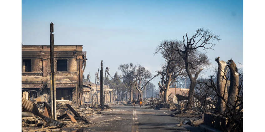 На Гавайях оценили примерную стоимость восстановления после пожаров
