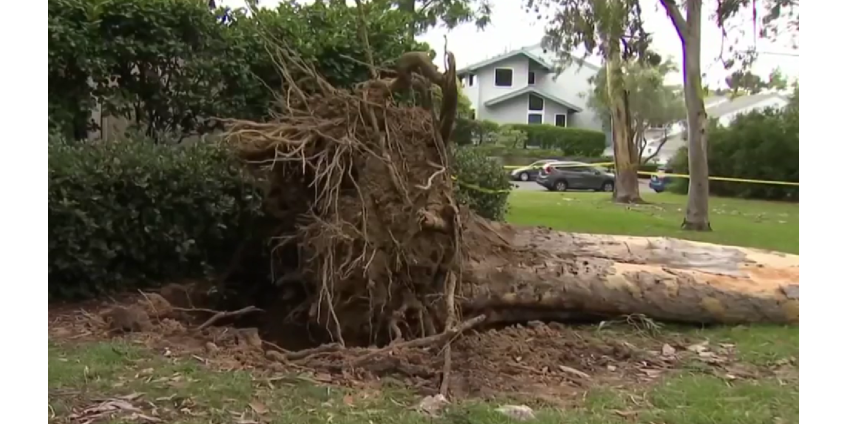 Лидеры Сан-Диего: правильная подготовка минимизировала ущерб от урагана Хилари