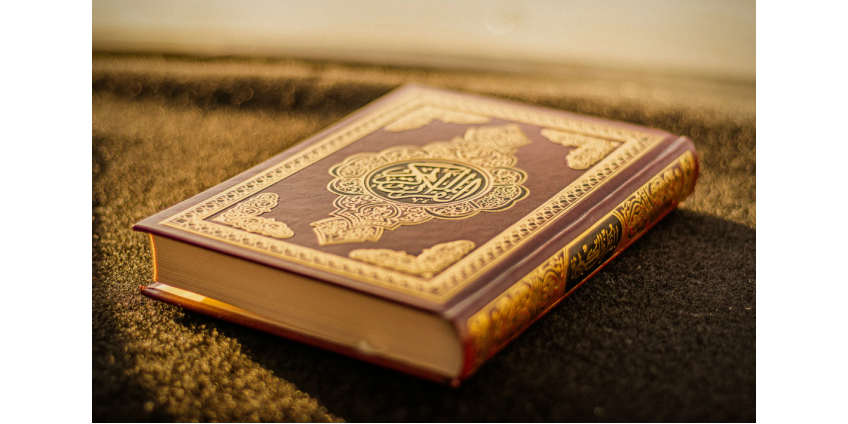 В Швеции опять публично сожгли Коран