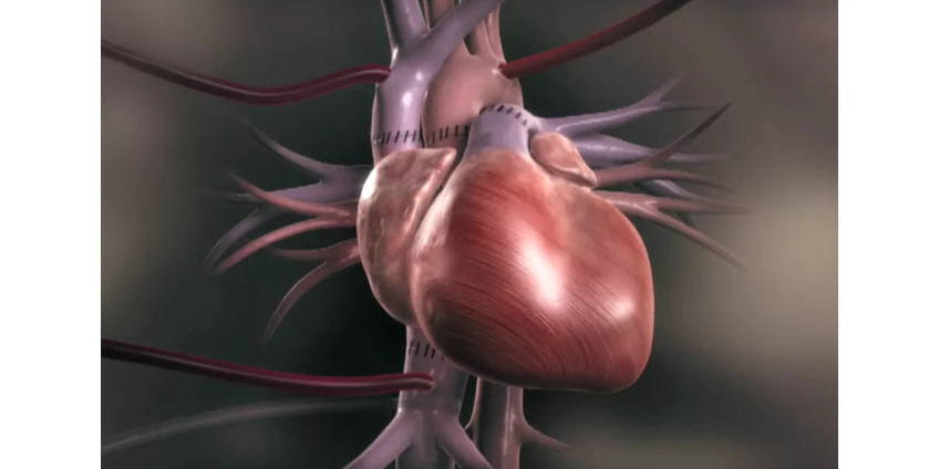 Получатель трансплантата сердца из Аризоны поощряет других дарить жизнь
