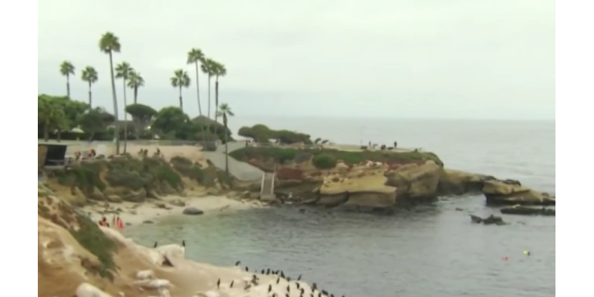 Городской совет Сан-Диего голосует за постоянное закрытие Пойнт-Ла-Хойя