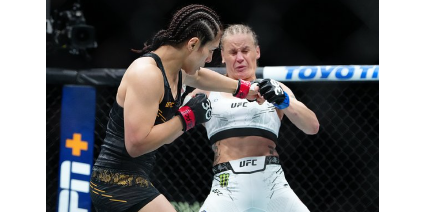 В США признали ошибку судьи в поединке Шевченко и Грассо