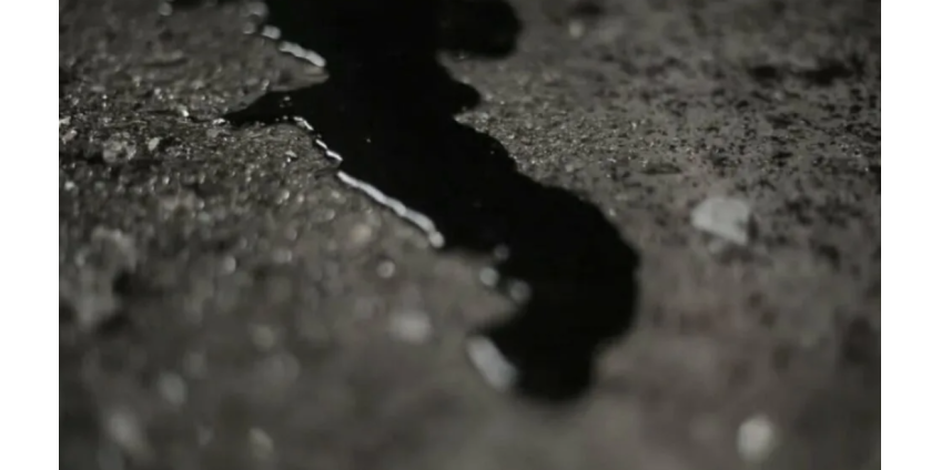 2 убитых, 3 раненых в результате стрельбы в Инглвуде