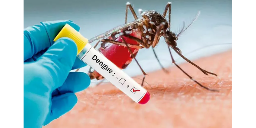 Менее чем за месяц в округе Лос-Анджелес был зарегистрирован второй случай заболевания вирусом денге