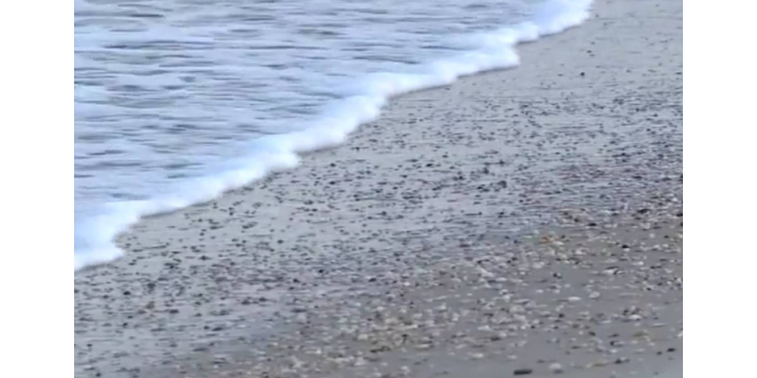 Загадочные черные шары вынесло на пляж в США