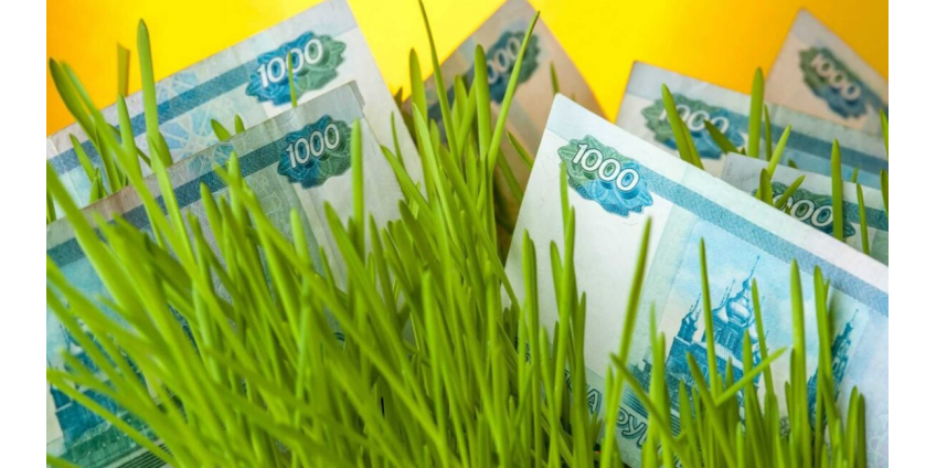 Мужчина притворился целителем и пообещал вылечить рак травами за миллион рублей