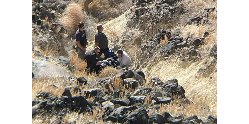 Упавшая в овраг пожилая женщина провела четыре дня в ожидании помощи и выжила Упавшая в овраг пожилая женщина провела четыре дня в ожидании помощи и выжила