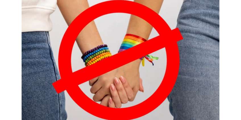В России разъяснили детали запрета Верховным судом движения ЛГБТ