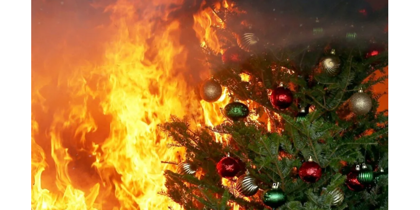 Пожарные Финикса советуют избавиться от рождественских ёлок