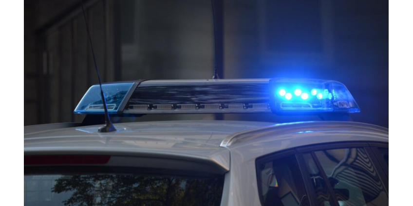 На новогодней вечеринке в Лос-Анджелесе погибли два человека