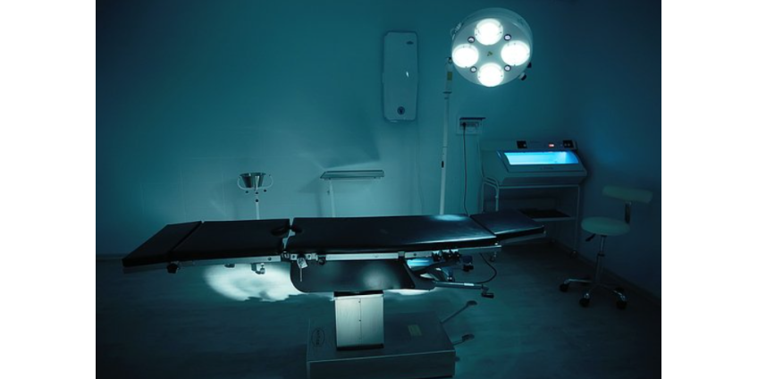 В Финляндии поймали уличного кота-людоеда