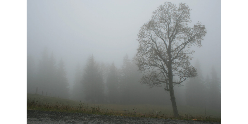 Метеорологи предупредили о радиационных туманах в Турции