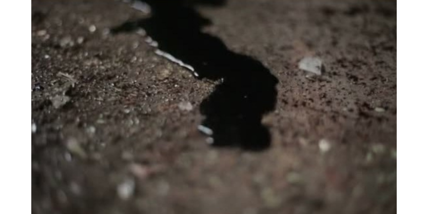 Женщина убита, мужчина тяжело ранен в результате наезда автомобиля в Южном Лос-Анджелесе