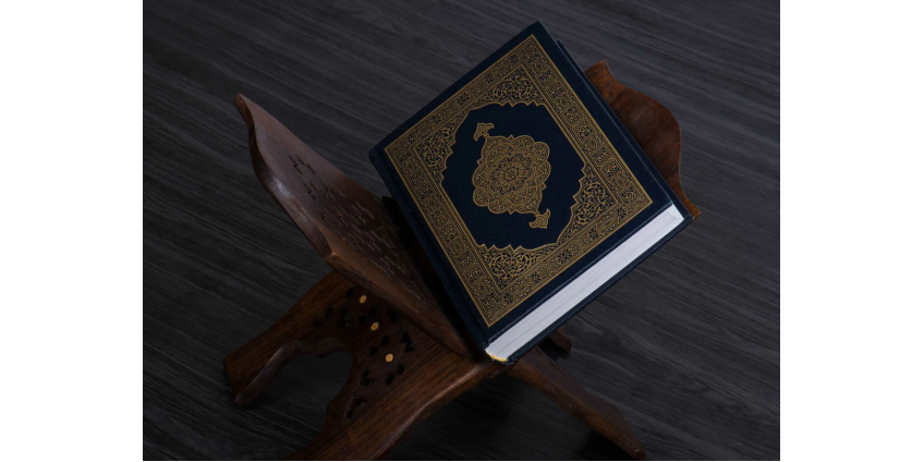 Голландский мэр оправдал акцию сожжения Корана