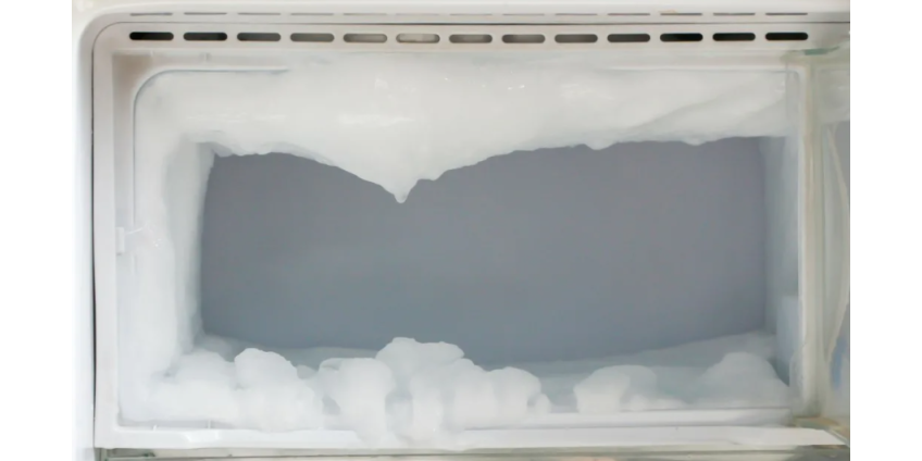 Новые хозяева дома нашли человеческую голову в морозилке во дворе