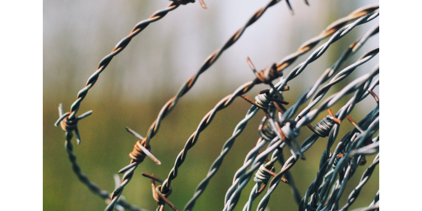 Губернатор Техаса пообещал защитить штат от мигрантов вопреки Байдену Губернатор Техаса пообещал защитить штат от мигрантов вопреки Байдену