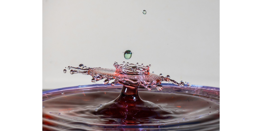 Кортеж вице-президента Камалы Харрис во время визита в Финикс был облит красной жидкостью