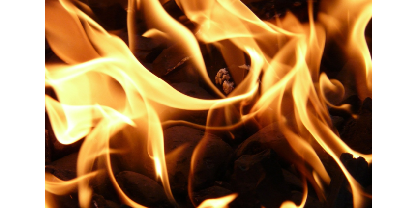 5 пожарных были госпитализированы после пожара в здании, где нелегально выращивали каннабис