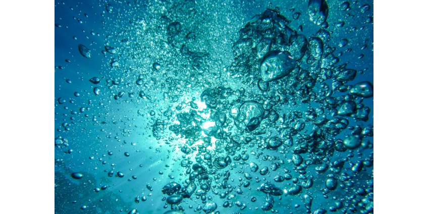 На дне океана обнаружили жизнь в непригодном для этого месте