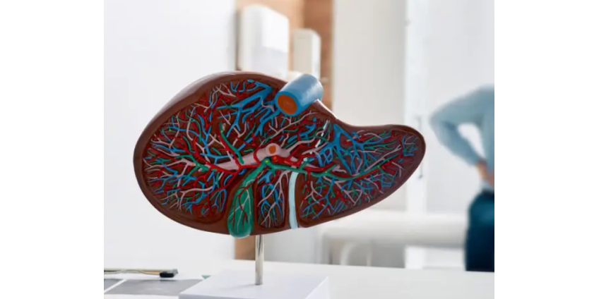 Округ Лос-Анджелес расследует вспышку гепатита среди бездомных