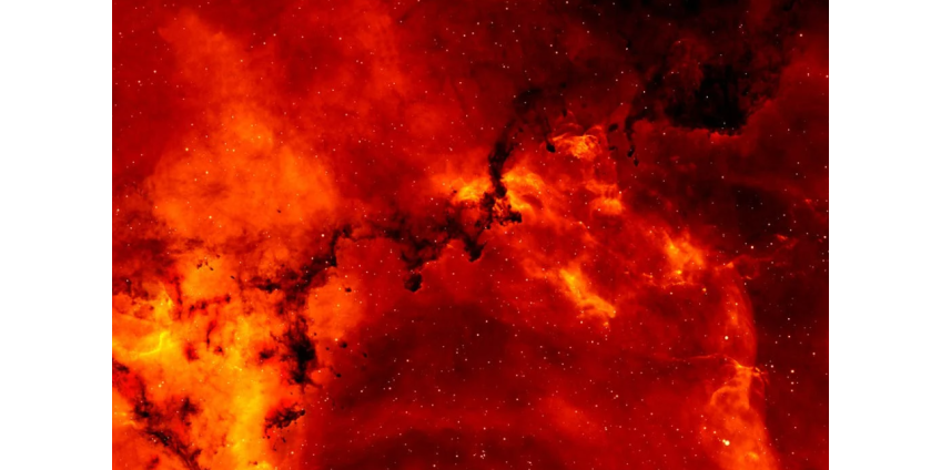 В «Абрау-Дюрсо» оценили угрозу лесного пожара для виноградников В «Абрау-Дюрсо» оценили угрозу лесного пожара для виноградников