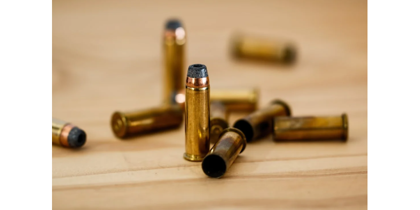 Мужчина из Германии расправился с семьей