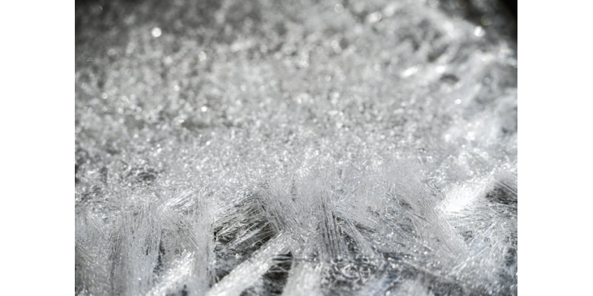 Рыболов поймал акулу длиной четыре метра на маленькую удочку Рыболов поймал акулу длиной четыре метра на маленькую удочку