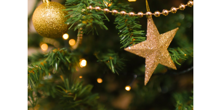 Празднование Нового года собрало тысячи гостей в Gloria Molina Grand Park в Лос-Анджелесе  