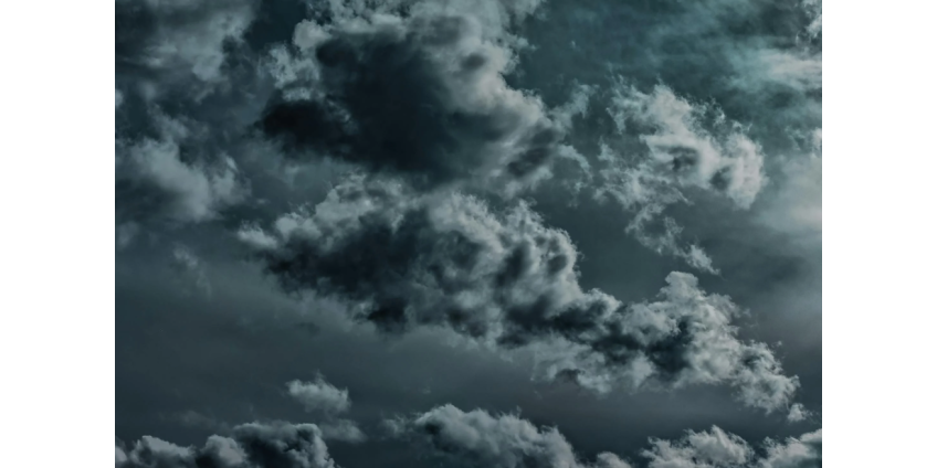 Ночной шторм в Финиксе повалил деревья и оставил районы без света