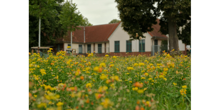 В Лас-Вегасе расширили программу помощи арендаторам для предотвращения выселений