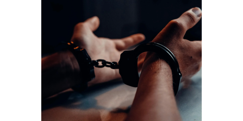 Банда «Rich Rollin» арестована: почти 100 краж в округе Лос-Анджелес раскрыты