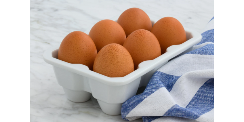 Вспышка сальмонеллы в США: отозваны яйца, связанные с двумя ресторанами в Лос-Анджелесе