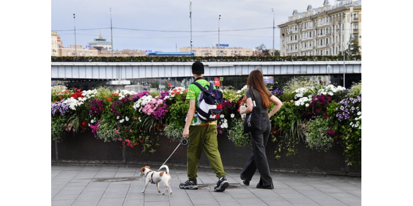 В Госдуме высказались об идее повысить возраст молодежи до 45 лет
