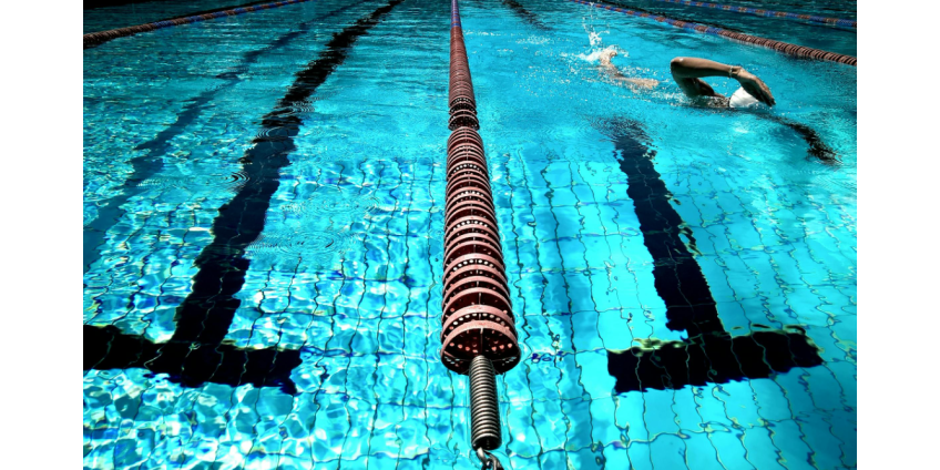 В Финиксе прошёл благотворительный заплыв в поддержку психического здоровья спортсменов