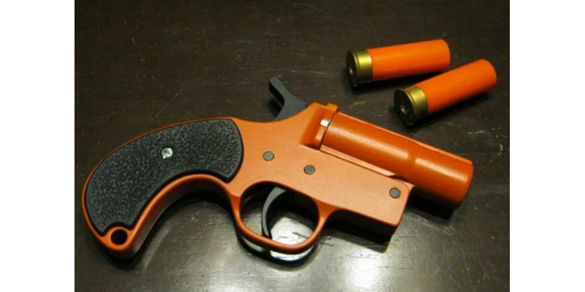 76-летняя женщина поссорилась с соседом из-за кошки и выстрелила ему в лицо из ракетницы