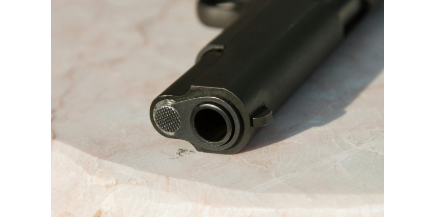 В Лос-Анджелесе пожилой мужчина застрелил голого злоумышленника, ворвавшегося в его дом