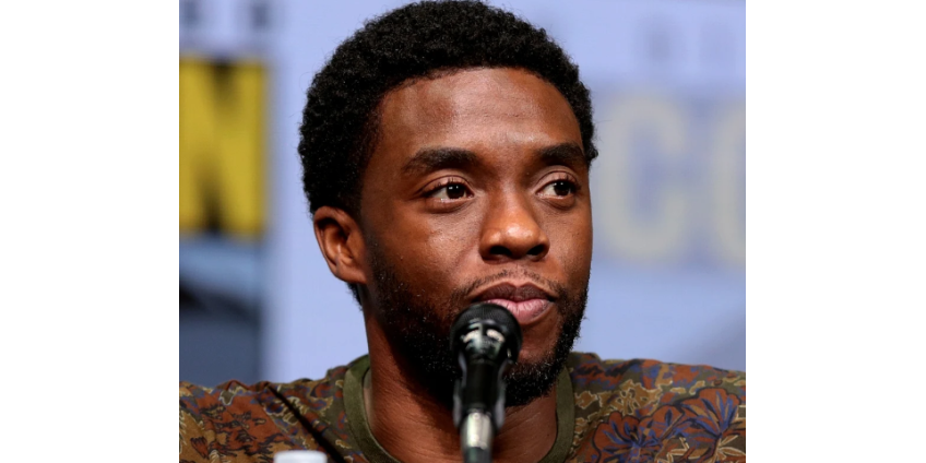 Актер Marvel посмертно получил звезду на голливудской «Аллее славы»